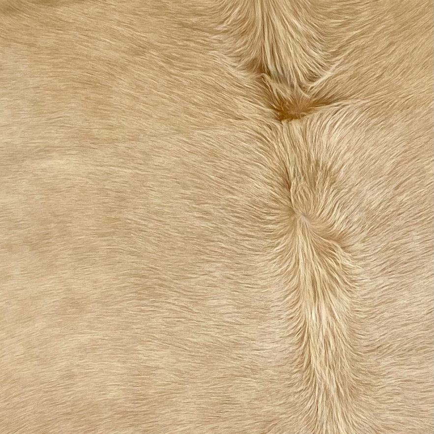Palomino & Solid Cowhide Rugs