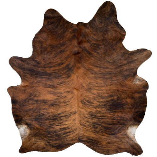 XL Reddish Brown and Black Brazilian Brindle Cowhide: reddish brown with black, brindle markings, and it has longer hair down the spine - 8' x 6'7" (BRBR1420)