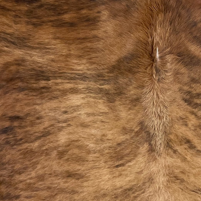 Closeup of this XL Brazilian Brindle Cowhide, showing brown with black and darker brown, brindle markings, and  lighter on the back and darker on the shoulder (BRBR1421)