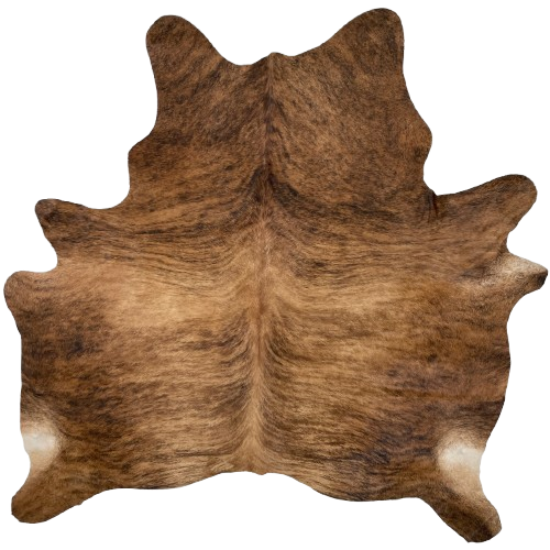 Brown and Black Brazilian Brindle Cowhide: brown with black and brown, brindle markings - 6'3" x 6' (BRBR1481)