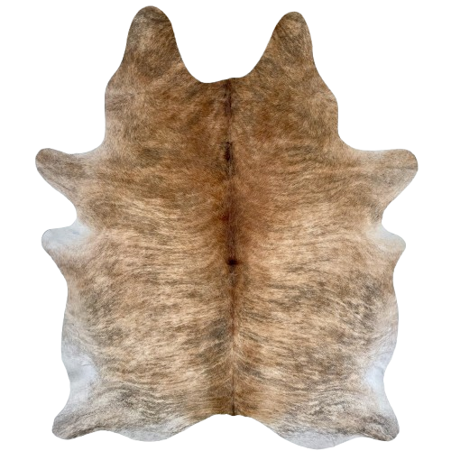 Large Brown and Black Brazilian Brindle Cowhide: reddish brown and light brown with black, brindle markings, and white with black brindle markings on the butt and part of the belly - 7'7" x 5'7" (BRBR1509)