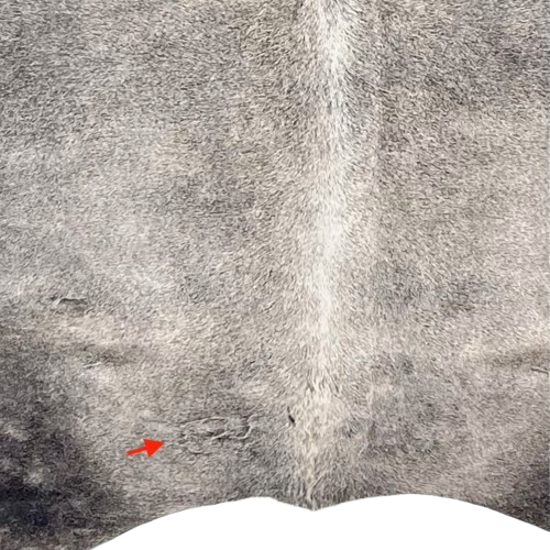 Closeup of this XL Gray and Black Brazilian, showing one brand mark on the left side of the butt (BRGR297)