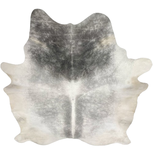 Large Light Gray and White Brazilian Cowhide: light gray and white, with darker gray on the shoulder, and off-white on the belly - 7'7" x 6'1" (BRGR298)