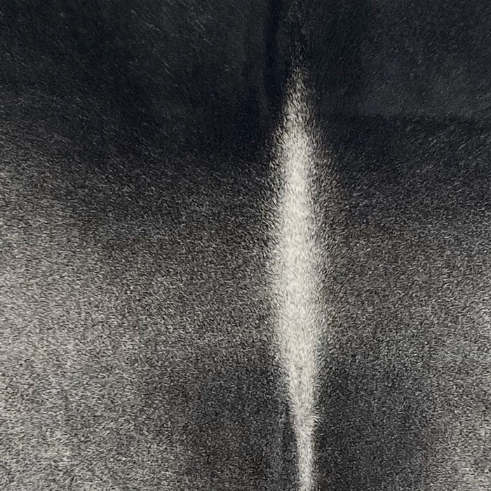 Closeup of this Large Brazilian Cowhide, showing a mix of dark gray and black, and black on the shoulder (BRGR303)