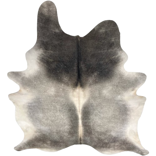 XL Two Tone Gray Brazilian Cowhide: light gray with darker gray along the spine, on the butt and shoulder, and off-white down the spine and on the belly - 8'3" x 6'1" (BRGR304)