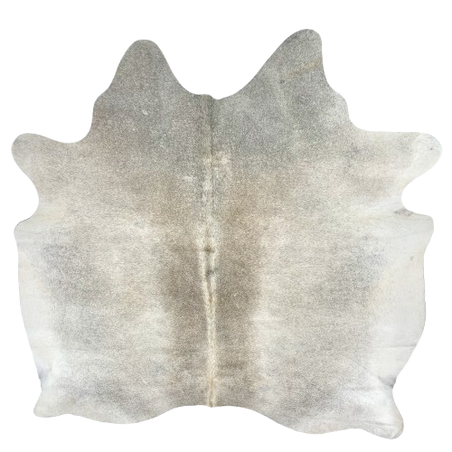 Two Tone Gray Brazilian Cowhide: light gray with darker gray down the spine and on the shoulder, and hints of light brown mixed on down the spine - 6'7" x 6' (BRGR305)