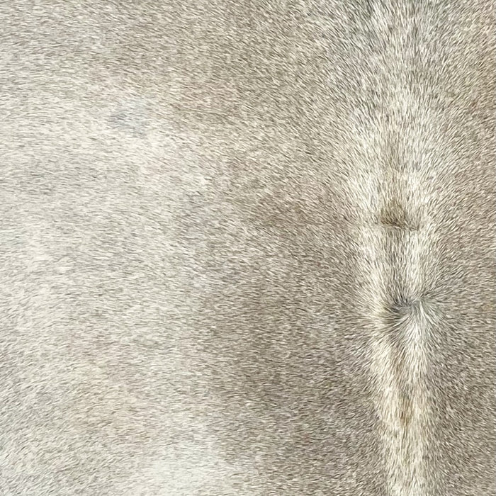 Closeup of this Brazilian Cowhide, showing light gray with darker gray down the spine, and hints of light brown mixed in down the spine (BRGR305)
