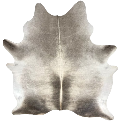 XL Two Tone Gray and Taupe Brazilian Cowhide: light gray with dark gray down both sides of the spine and on the butt, light taupe on the shoulder, and white on the belly - 8' x 6'2" (BRGR306)