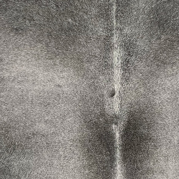 Closeup of this Brazilian Cowhide, showing gray (BRGR307)