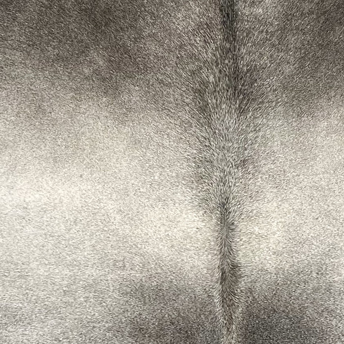 Closeup of this Brazilian Cowhide, showing light gray with darker gray on the shoulder and down both side of the spine (BRGR308)