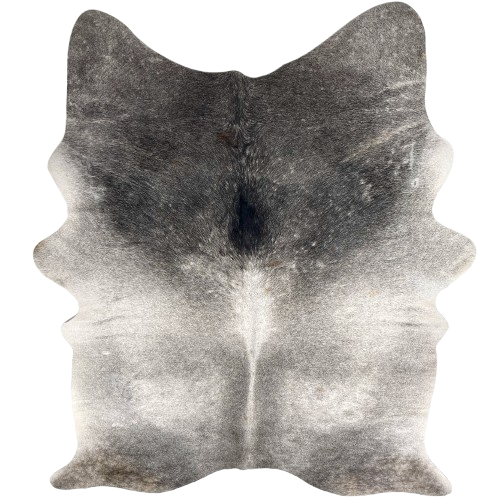 Large Two Tone Gray Brazilian Cowhide: has a mix of light and dark gray, with dark gray on the butt and shoulder, and four small, brown spots - 7'6" x 5' (BRGR309)