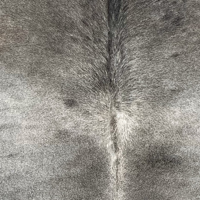 Closeup of this Large Brazilian Cowhide, showing gray with a lighter strip of gray across the middle and down part of the spine (BRGR312)