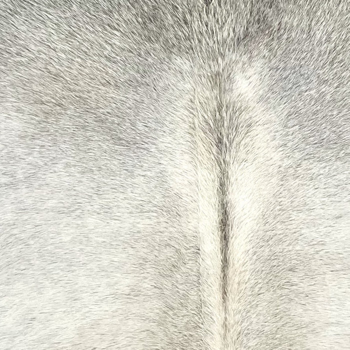 Closeup of this Large Brazilian Cowhide, showing a mix of off-white and light gray on the back, and mostly gray on the shoulder (BRGR314)