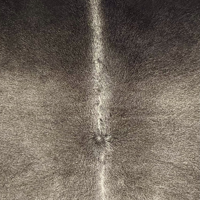Closeup of this Brazilian Cowhide, showing medium gray with dark gray on the shoulder, lighter gray down the spine   (BRGR315)
