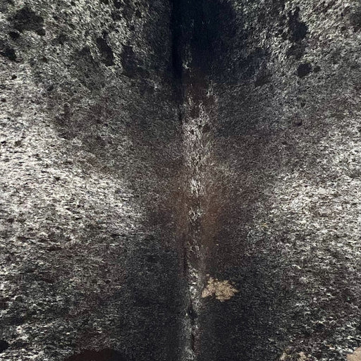 Closeup of this Large, Speckled, Brazilian Cowhide, showing white with black spots and speckles, a touch of brown mixed in with the black, in the middle, and one of two tan spots on the right side of the back (BRSP2502)