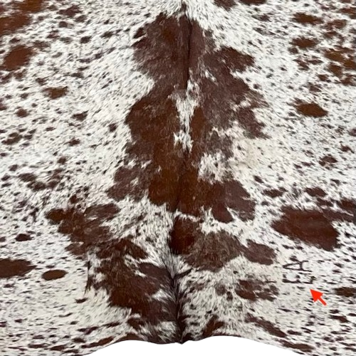 Closeup of this XXXL, Brown and White, Speckled, Brazilian Cowhide, showing one brand mark on the right side of the butt (BRSP2505)