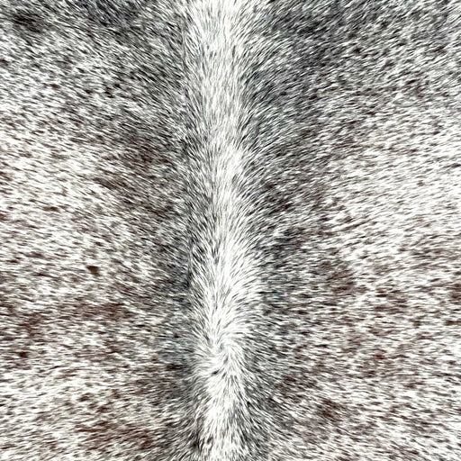 Closeup of this Tricolor, Speckled, Brazilian Cowhide, showing white with brown and black speckles (BRSP2508)