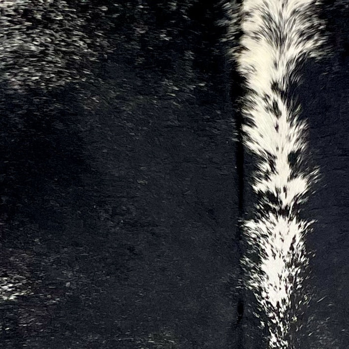 Closeup of this Speckled Brazilian Cowhide, showing black with speckles, and white with black speckles down the spine and on part of the shoulder (BRSP2982)
