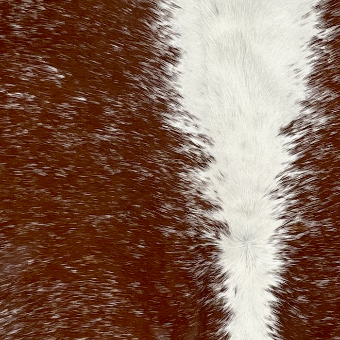 Closeup of this Speckled Brazilian Cowhide, showing brown with white speckles down both side of the hide, and white down the middle (BRSP3134)