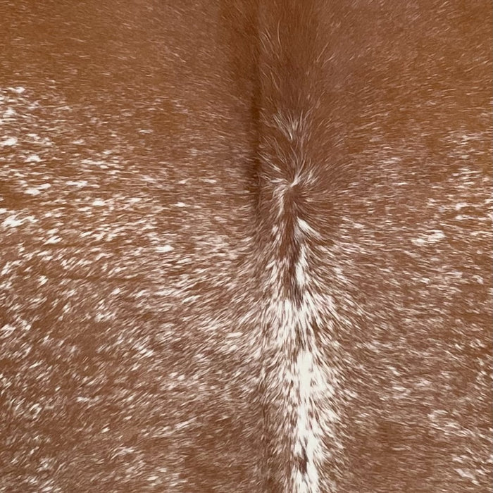 Closeup of this Speckled Brazilian Cowhide, showing brown with white speckles and spots (BRSP3176)