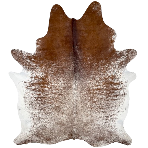 Large Reddish Brown and White Speckled Brazilian Cowhide: white with reddish brown speckles and spots, and mostly solid brown on the shoulder - 7'8" x 5'6" (BRSP3183)