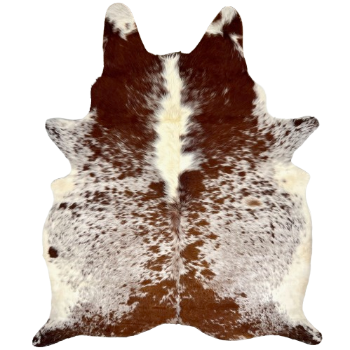 XL Dk Reddish Brown and White Speckled Brazilian Cowhide: has long hair that is white with dark, reddish brown speckles and spots, and off-white on the belly and down the middle of the shoulder- 8'5" x 6'4" (BRSP3246)
