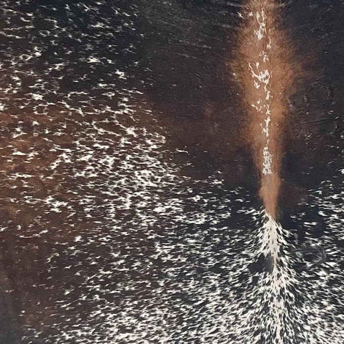 closeup of this Large Speckled Tricolor Brazilian Cowhide, showing black, brown, and dark brown, with white speckles and spots (BRSP3397)