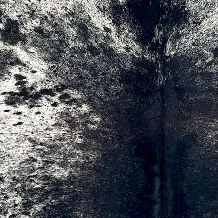Closeup of this Speckled Brazilian Cowhide, showing white with black speckles and spots, and mostly solid black down the middle of the back (BRSP3423)