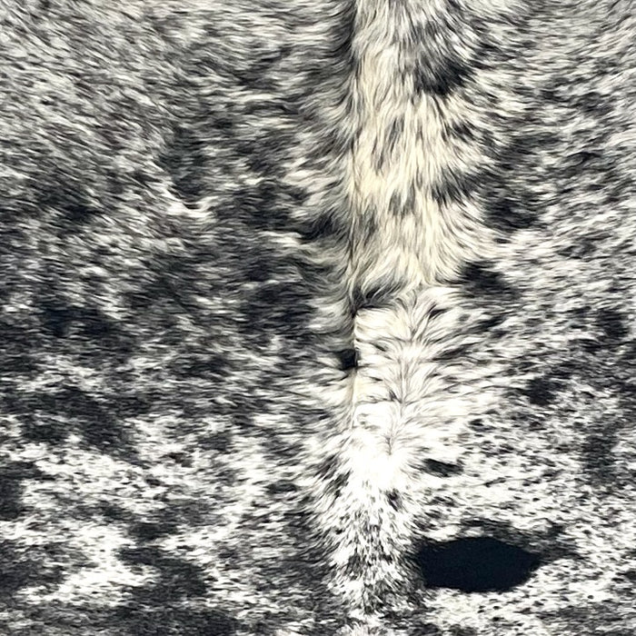 Closeup of this XL Speckled Brazilian Cowhide, showing white and off-white with black speckles and spots (BRSP3428)