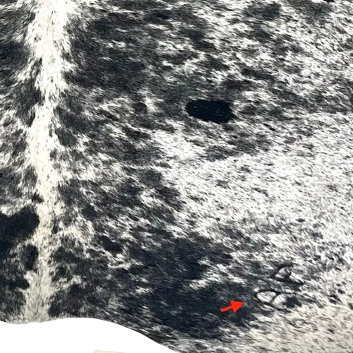 Closeup of this XL Black and White Speckled Brazilian Cowhide, showing one brand mark on the right side of the butt (BRSP3428)