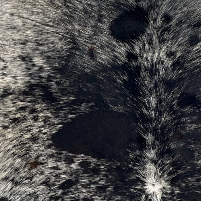 Closeup of this XL Speckled Brazilian Cowhide, showing white with black spots and speckles (BRSP3436)