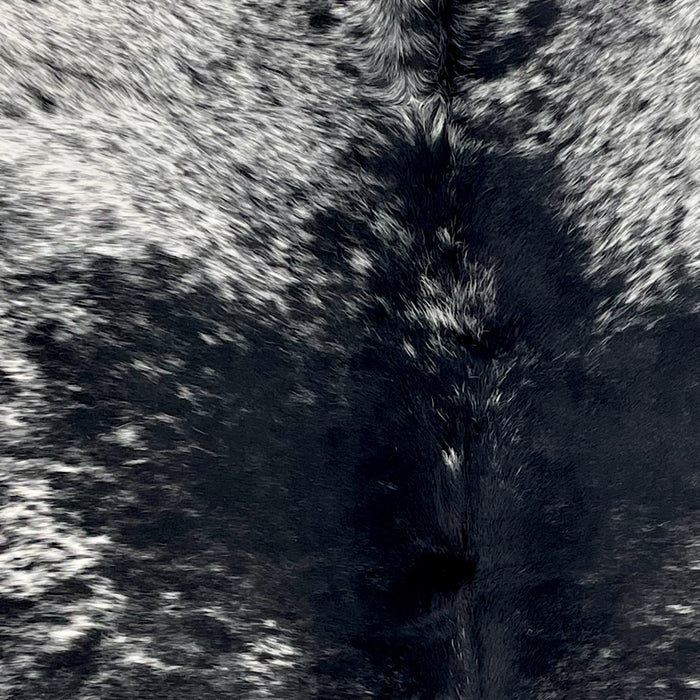 Closeup of this XL Speckled Brazilian Cowhide, showing white with black speckles and spots, and black with fine, white speckles down the middle of the back (BRSP3438)