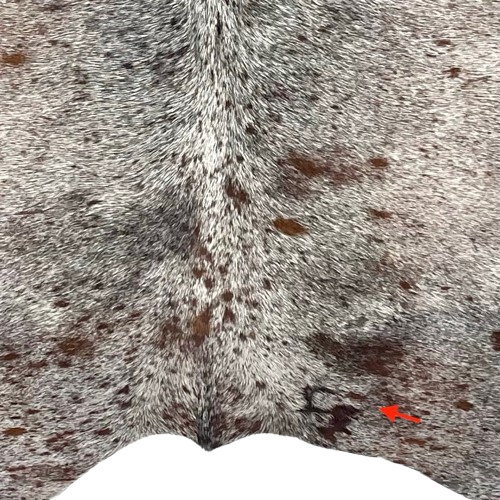 Closeup of this Tricolor Speckled Brazilian Cowhide, showing one brand mark on the right side of the butt (BRSP3463)