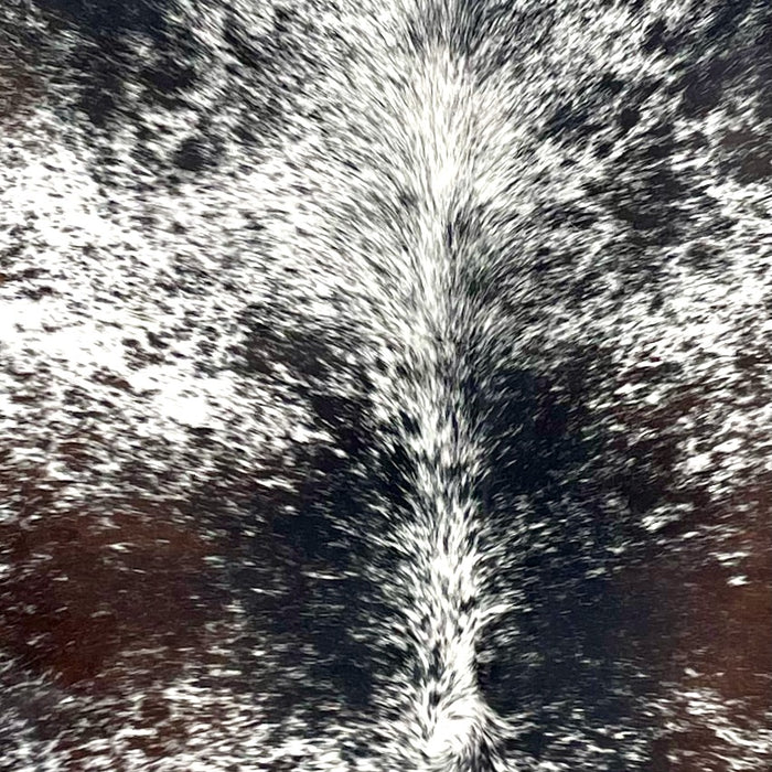 Closeup of this Large Tricolor Speckled Brazilian Cowhide, showing white with black and dark brown speckles and spots  (BRSP3483)