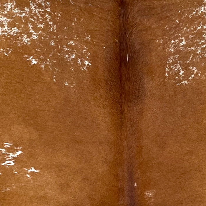 Closeup of this Speckled Brazilian Cowhide, showing brown with white speckles (BRSP3488)
