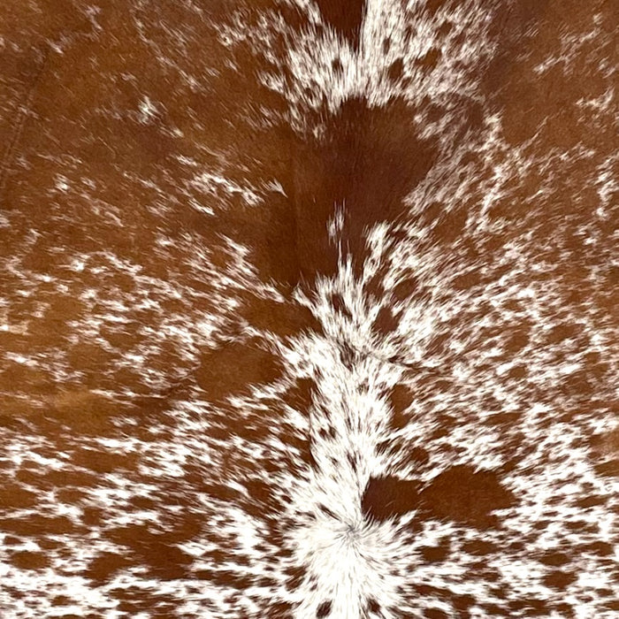 Closeup of his Speckled Brazilian Cowhide, showing white with reddish brown speckles and spots (BRSP3495)