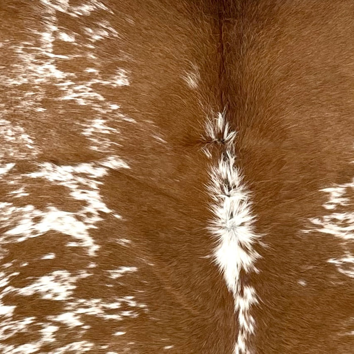 Closeup of this Speckled Brazilian Cowhide, showing white with brown speckles and spots (BRSP3498)