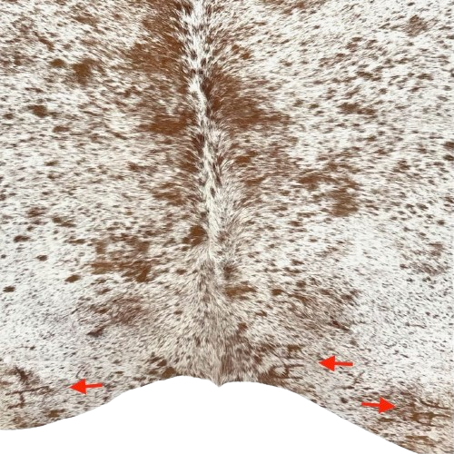 Closeup of this White and Brown Speckled Brazilian Cowhide, showing three brand marks on the butt (BRSP3500)