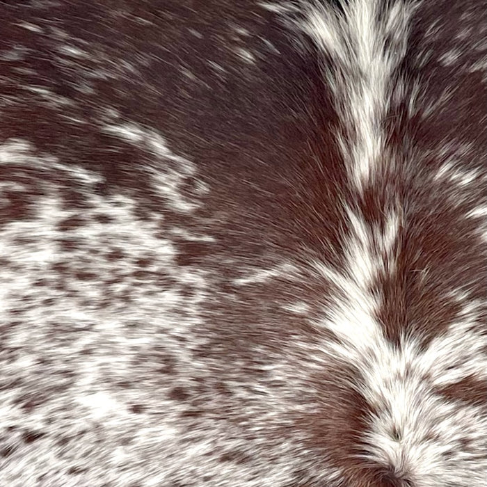 Closeup of this Speckled Brazilian Cowhide, showing white with dark brown speckles and spots (BRSP3505)