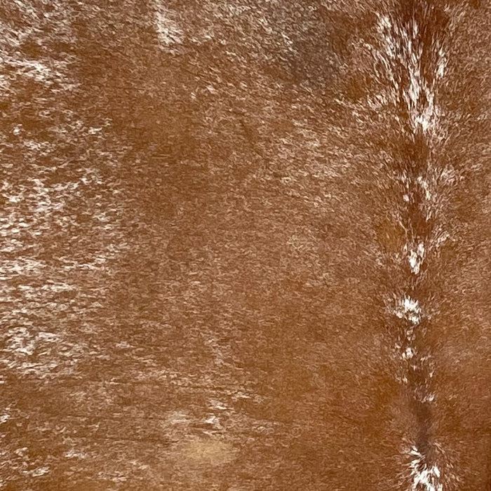 Closeup of this speckled Brazilian Cowhide, showing brown with white speckles and spots (BRSP3507)
