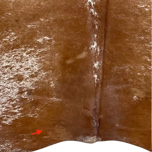 Closeup of this speckled Brazilian Cowhide, showing one brand mark on the left side of the butt (BRSP3507)