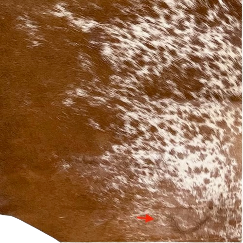 Closeup of this Brown and White Speckled Brazilian Cowhide, showing one brand mark on the right side of the butt  (BRSP3510)