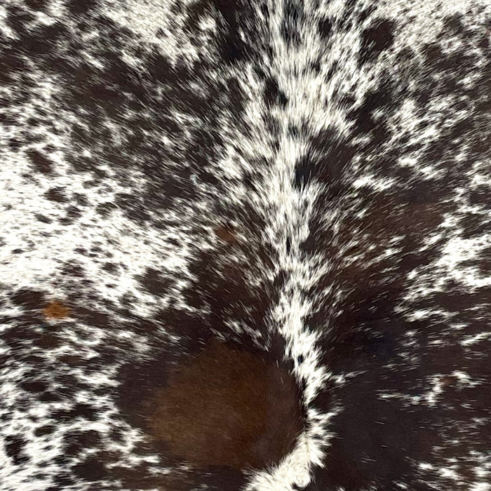 Closeup of this Tricolor Speckled Brazilian Cowhide, showing off-white with black and brown spots and speckles  (BRSP3514)