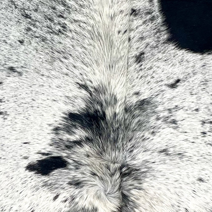 Closeup of this Speckled Brazilian Cowhide, showing white with black speckles and spots, and longer hair on the spine (BRSP3518)