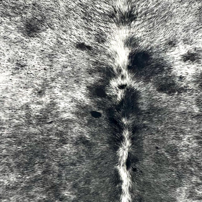 Closeup of this Speckled Brazilian Cowhide, showing white with black speckles and spots (BRSP3524)