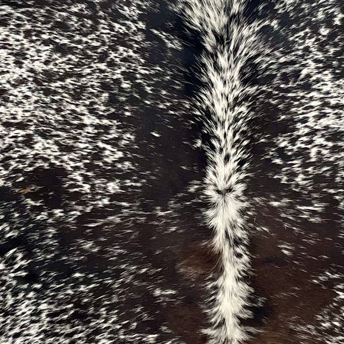 Closeup of this Speckled Brazilian Cowhide, showing white with black speckles and spots, and a dark brown spot in the middle of the lower part of the back (BRSP3533)