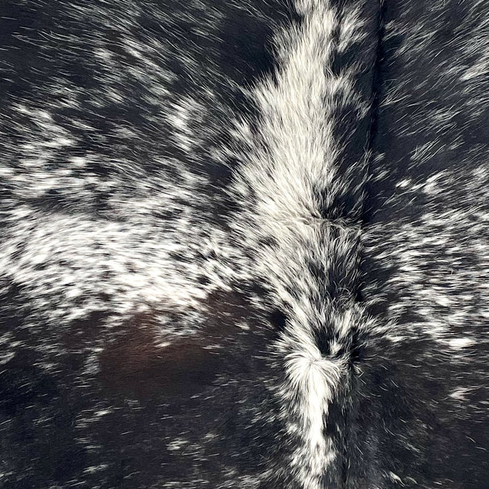 Closeup of this Speckled Brazilian Cowhide, showing black with white speckles and spots, and one dark brown spot on the left side of the back  (BRSP3534)