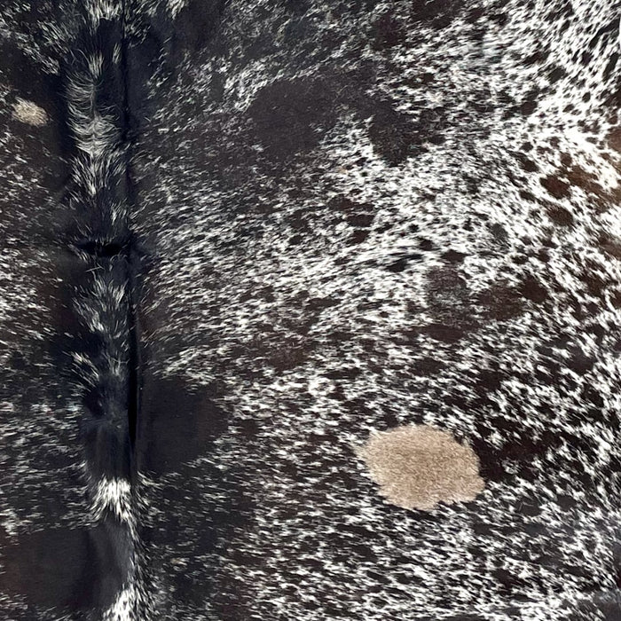 Closeup of this Dark Tricolor Speckled Brazilian Cowhide, showing white with black and dark brown speckles and spots, and a few small, light brown spots (BRSP3539)