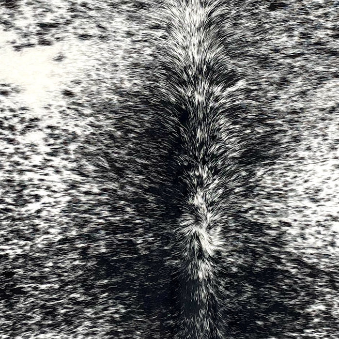 Closeup of this Speckled Brazilian Cowhide, showing black with white speckles and spots (BRSP3545)