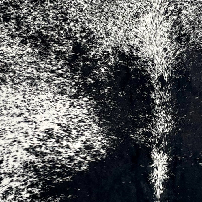 Closeup of this Speckled Brazilian Cowhide, showing white with black speckles and spots (BRSP3546)